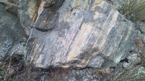 Гигантские зелёные валуны для ландшафтного дизайна весом более 5 тонн купить в Дзержинском